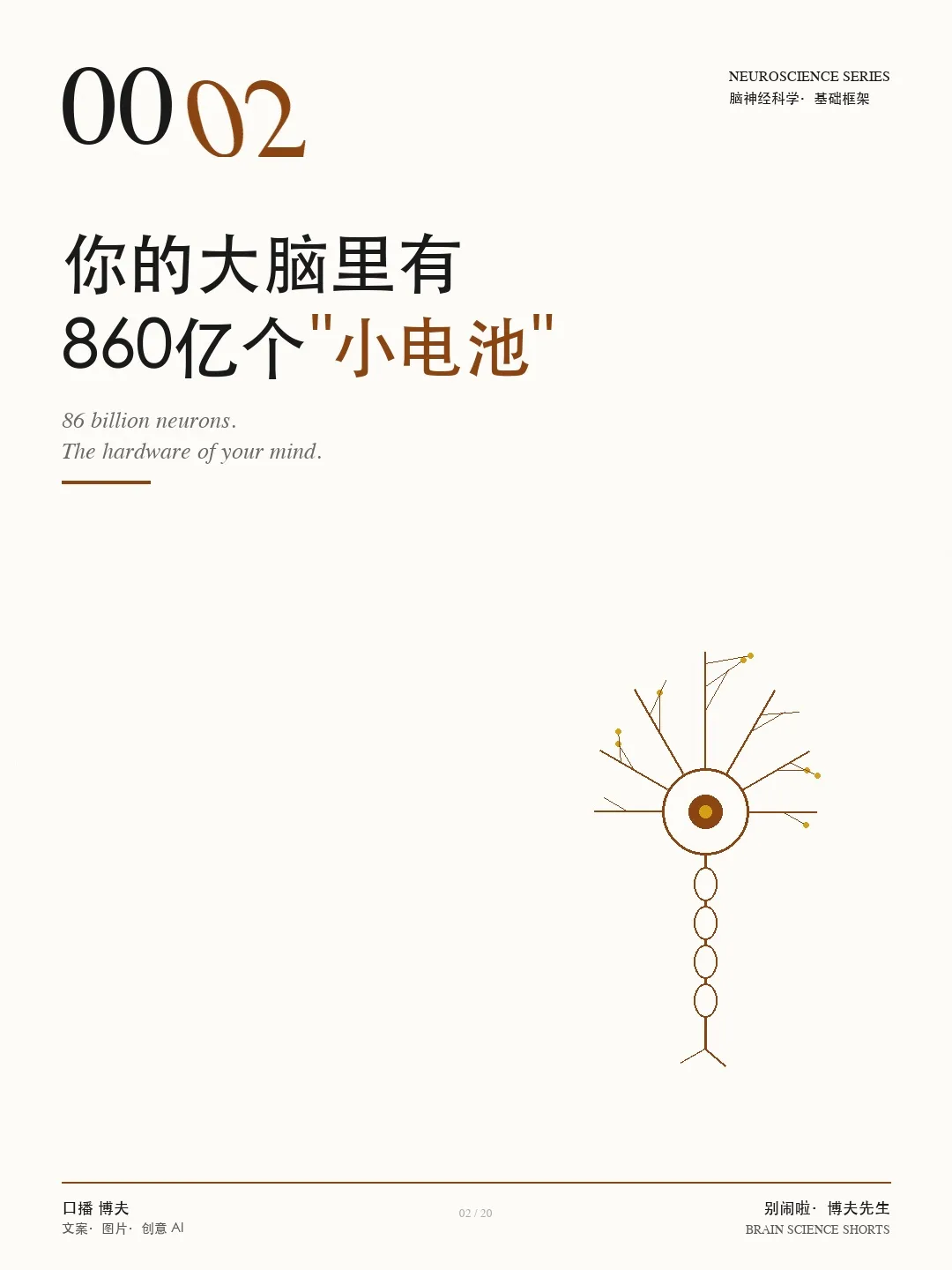 神经元