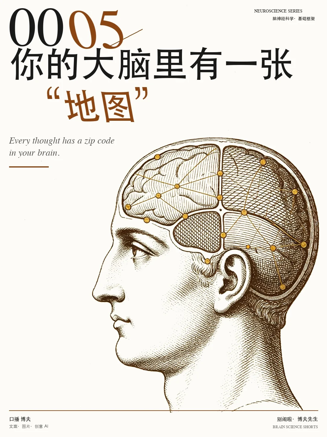 大脑地图