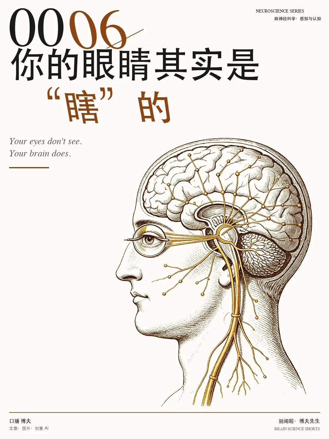 视觉