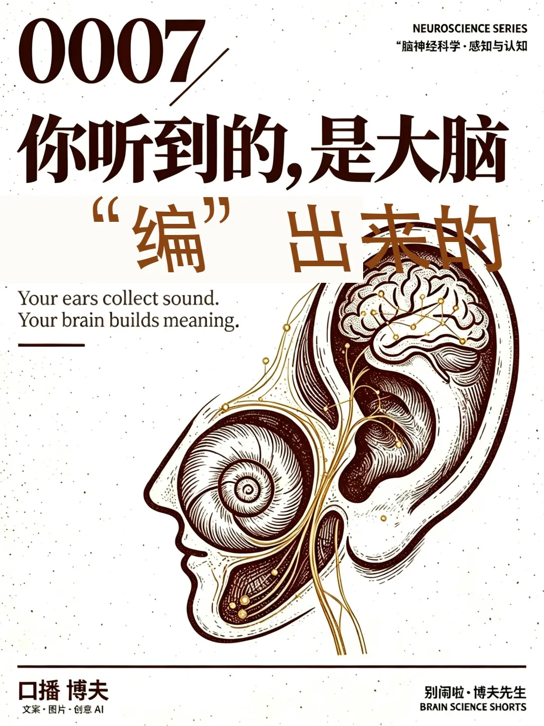 听觉语言
